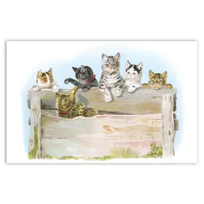 NOSTALGIKORT KATTER BAK PLANKEBARRIERE