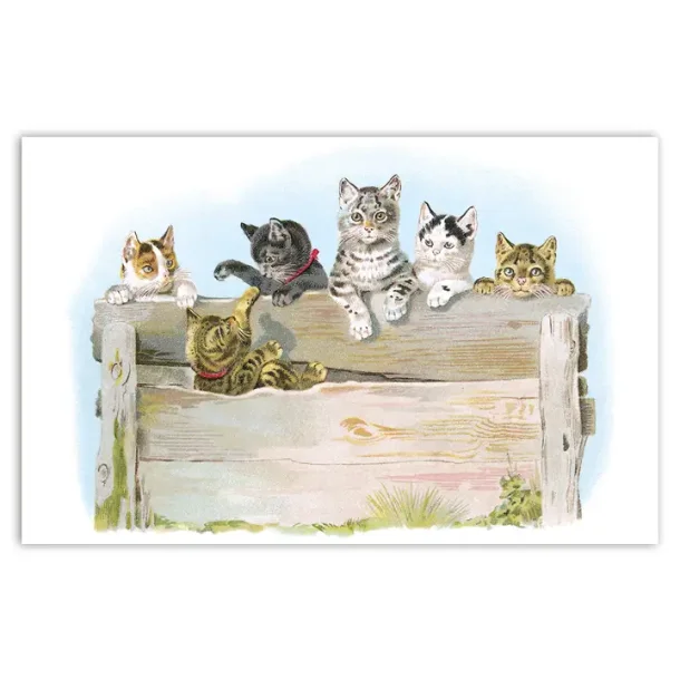 NOSTALGIKORT KATTER BAK PLANKEBARRIERE