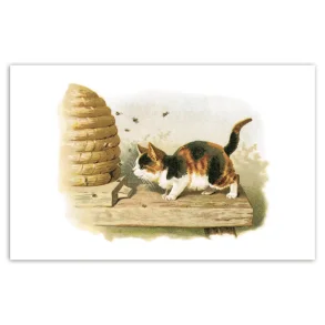 NOSTALGIKORT: PUS OG BIKUBEN