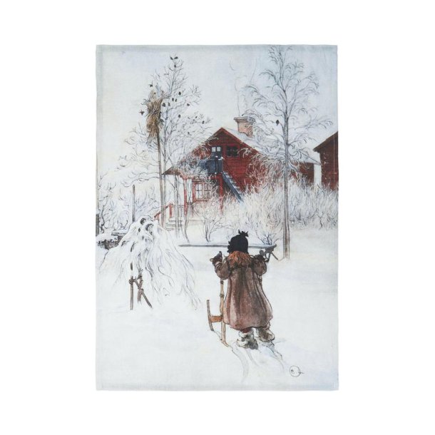 KJKKENHNDKLE "GRDEN" LIN, CARL LARSSON