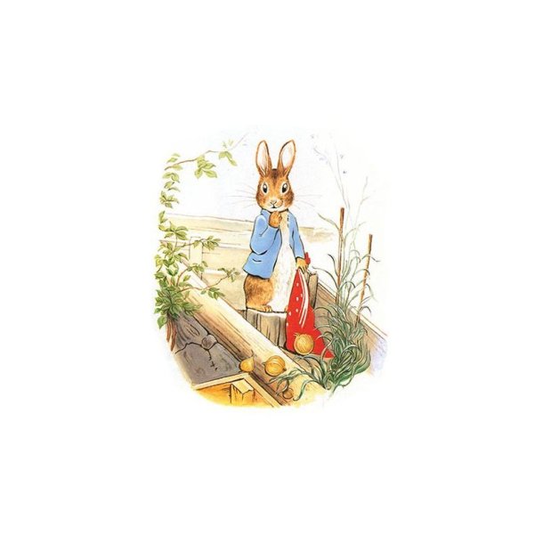 Peter Rabbit Enkelt Kort 3 stk (like)