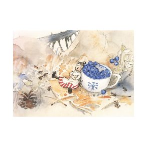 TESKJEKJ�RRINGA PLUKKER B�R 10x15 cm