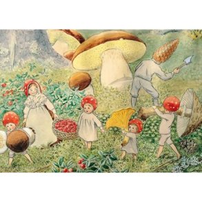 ELSA BESKOW: NISSEBOBARNA P� SOPPTUR (Tomtebobarnen svampar) 10x15 cm
